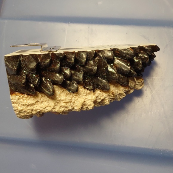 ๐
Pinecone carved Santa face ๐๐คถ - Picture 4 of 5